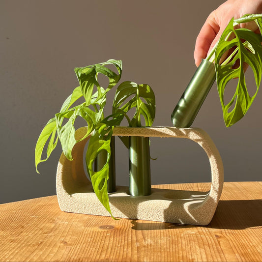 3D printed propagation station, plant cutting holder, easy propagation setup, modern propagation stand, plant accessories