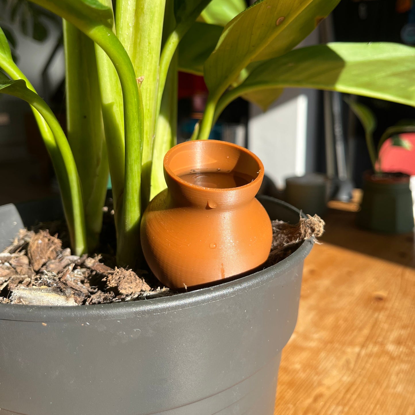 Self Watering Vessel - Pack Of x3 - 3D Printed Irrigation Spikes - Automatic Watering system for Vacations - Plant Watering Device